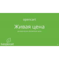 Видео по модулю "Живая цена - динамическое обновление цены"