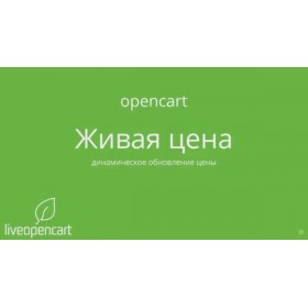 Видео по модулю "Живая цена - динамическое обновление цены"