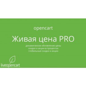 Видео по модулю "Живая цена PRO - динамическое обновление цены"