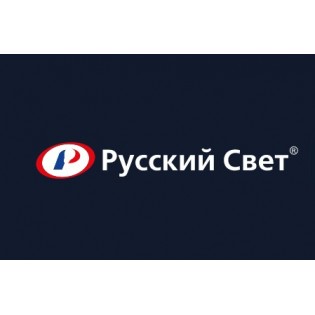Разработка драйвера к API поставщика на примере "Русский свет"