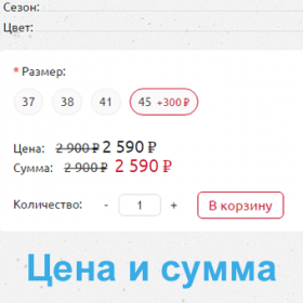 Цена и сумма в карточке товара для шаблона Revolution