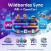 Экспорт товаров из ВБ в opencart - Wildberries Sync