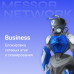 Messor Security [Business/Месяц]