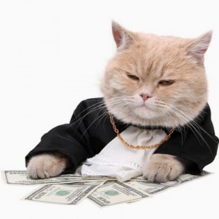 МУРЗЕИН - платные услуги