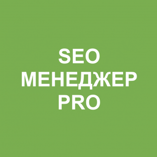 SEO Manager Pro Upgrade v1.0.1