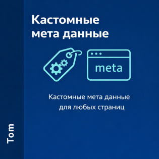 Кастомные мета данные для любых страниц