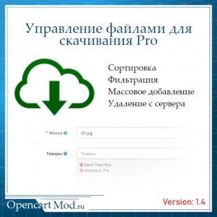 Управление файлами для скачивания Pro