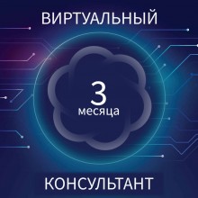 Виртуальный консультант | Подписка на 3 месяца