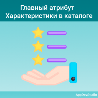 Главный атрибут / Характеристики в каталоге