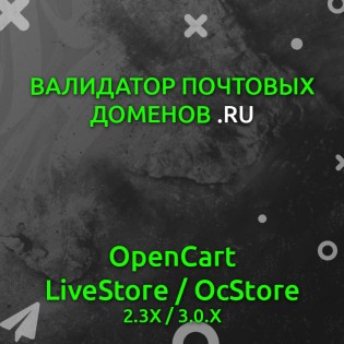 Validator of .ru email domains (Federal Law No. 406)