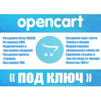 Профессиональная установка и полная настройка cms Opencart
