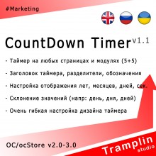 TS CountDown Timer v1.1