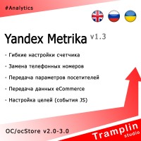 TS Yandex Metrika v1.3