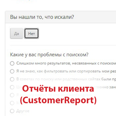 Отчёт клиента (CustomerReport)