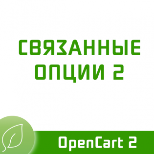 Связанные опции 2.3.1