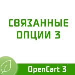Связанные опции 3.3.1.8