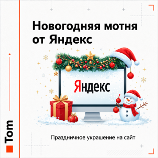 Новогодняя мотня